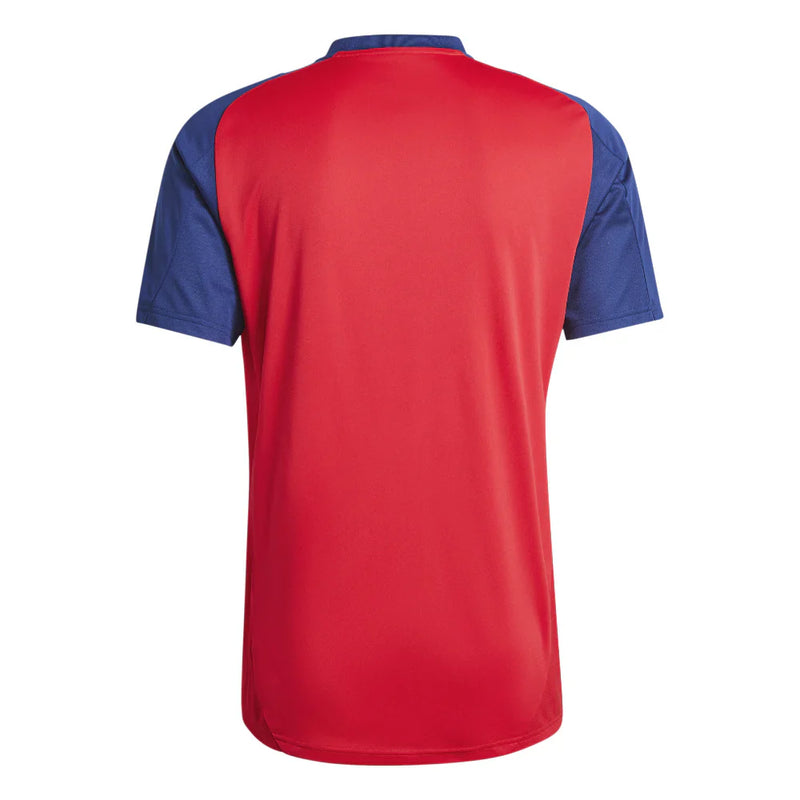 Camisa España Entrenamiento 2025