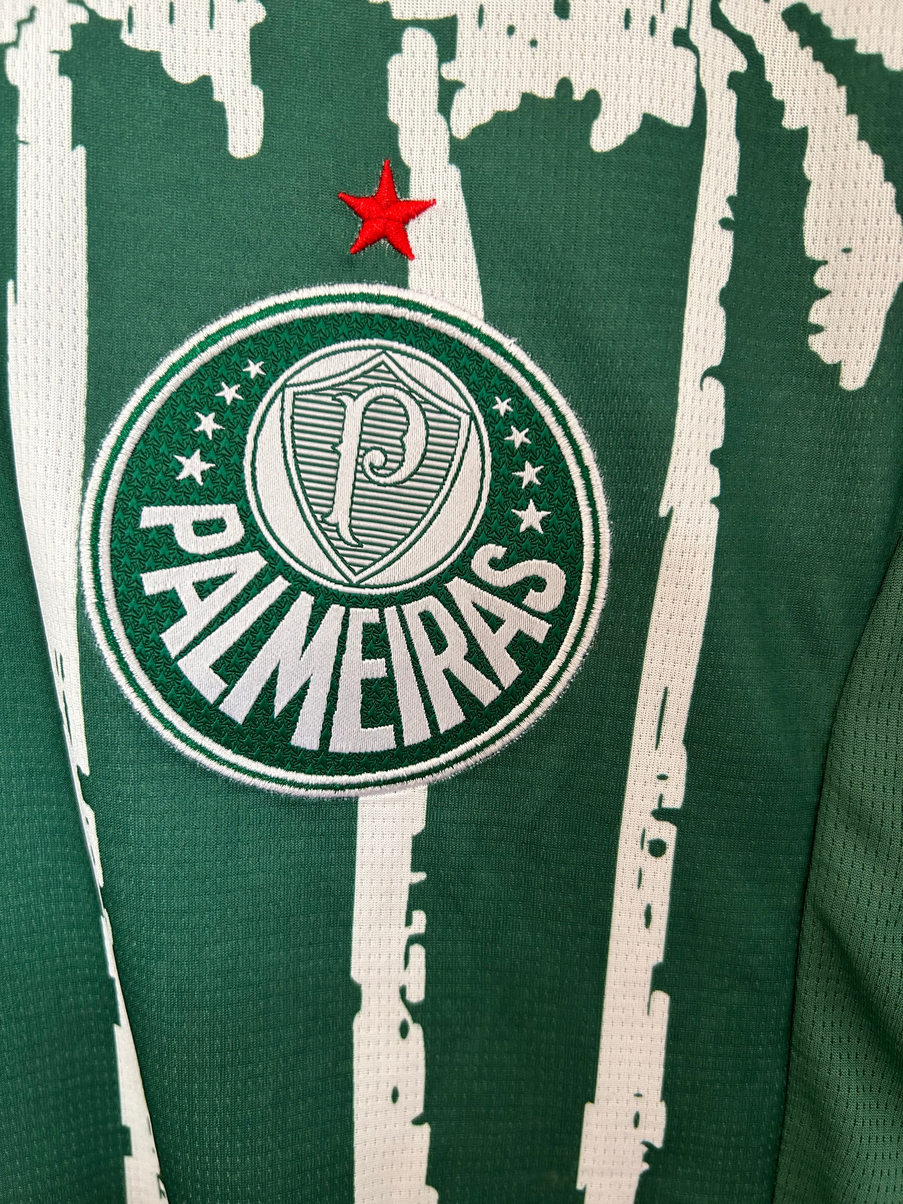 Camisa Palmeiras 25/26 Special Edition - Verde