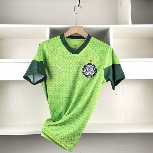 Camisa Palmeiras 24-25 Treino Kit