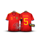 Camisa Puyol Espanha 2010 Legend
