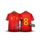 Camisa Xavi Espanha 2010 Legend