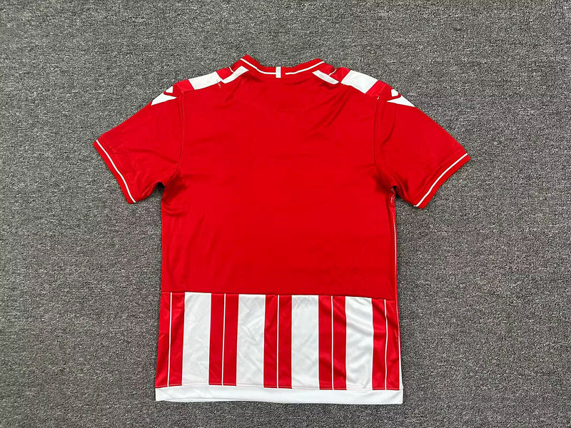 Camisa Almería 25∕26 Home